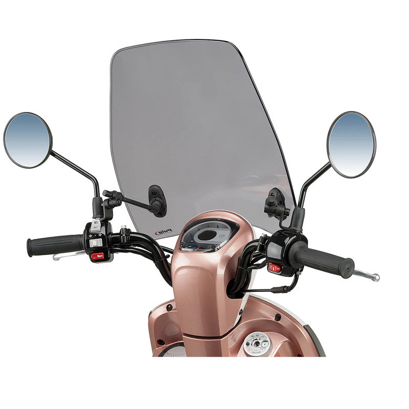 Puig Winds Urban | Light Smoke | Sym Mio 115 ie E4 2018>2020