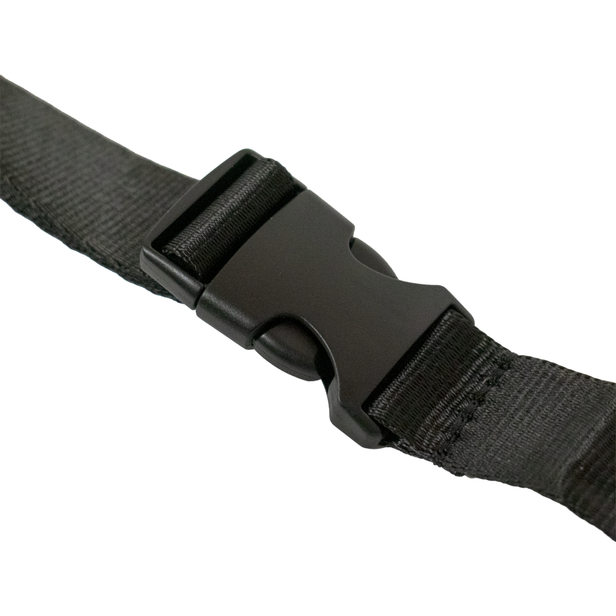 Pyramid Buckle Straps | Set Of 2 - Shop name