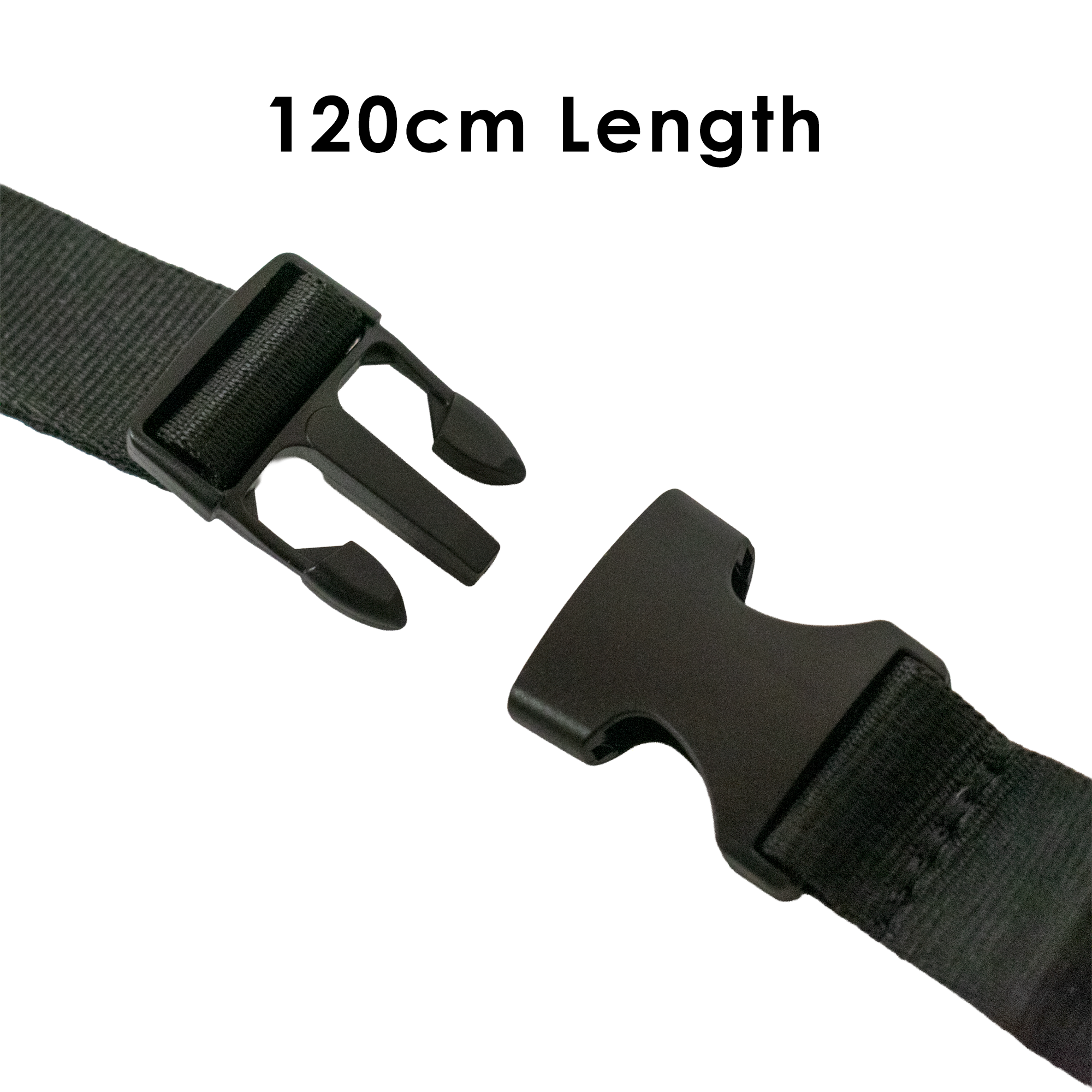 Pyramid Buckle Straps | Set Of 2 - Shop name