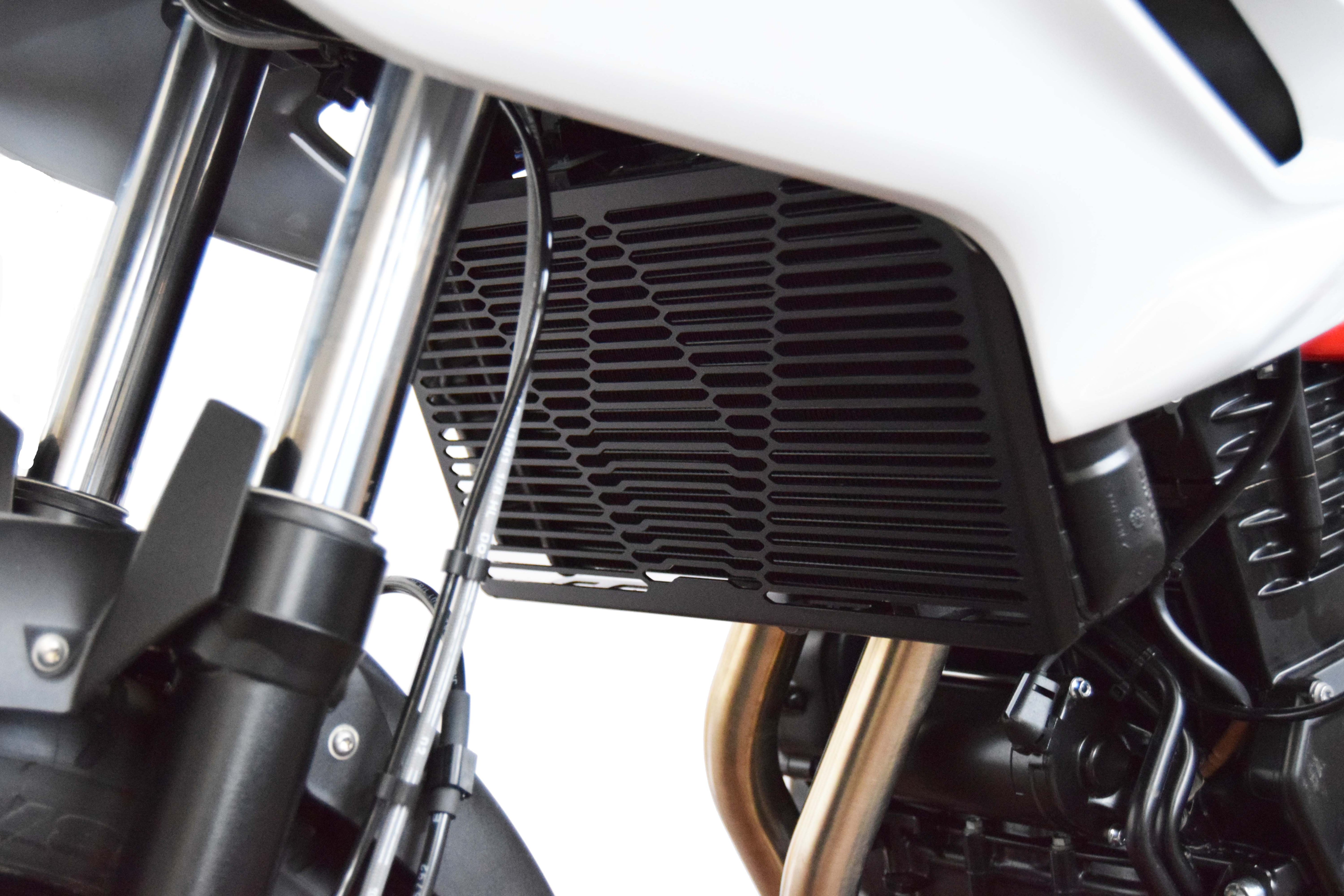 Isotta Radiator Guard | Black | BMW F 700 GS 2012>2018 - Pyramid Motorcycle Accessories