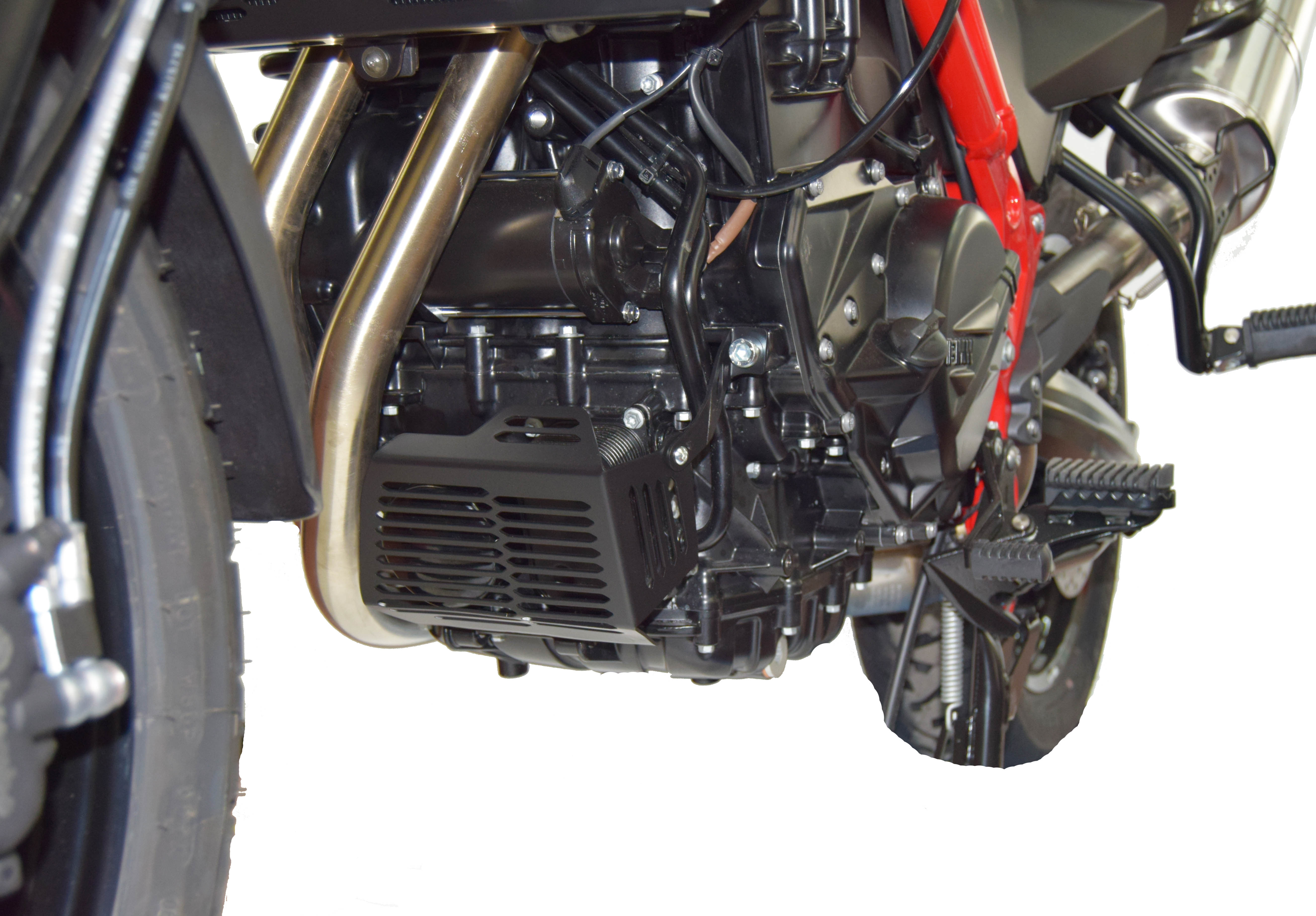 Isotta Oil Filter Guard | Black | BMW F 700 GS 2012>2018 - Pyramid Motorcycle Accessories