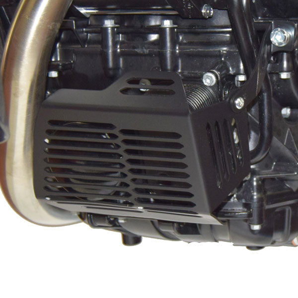 Isotta Radiator and Oil Filter Guard Kit | Black | BMW F 700 GS 2012>2018 - Pyramid Motorcycle Accessories
