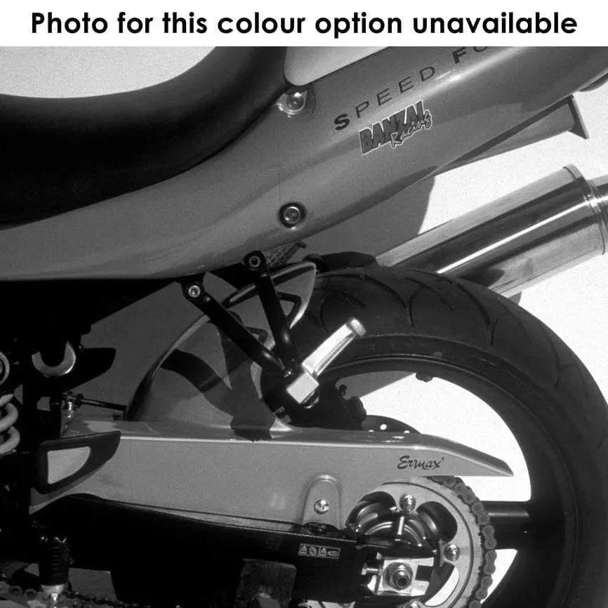 Ermax Hugger | Unpainted | Triumph Speed Four 2003>2005 - Shop name