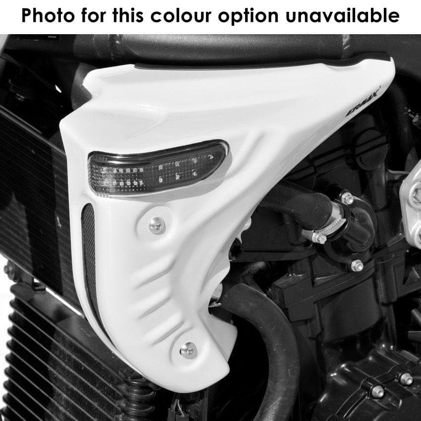 Ermax Radiator Cheeks | Gloss Black (Ebony Black) | Triumph Speed Triple 1050 2005>2007 - Shop name