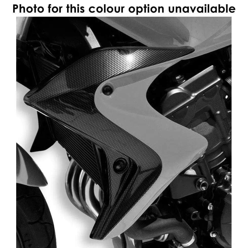 Ermax Radiator Cheeks | Matte Met Grey/Carbon Look (Matte Cynos Grey) | Honda CB 600 F Hornet 2012>2013 - Shop name