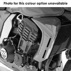Ermax Radiator Cheeks | Metallic Orange (Pearl Blazing Orange) | Kawasaki Z 1000 2003>2004 - Shop name