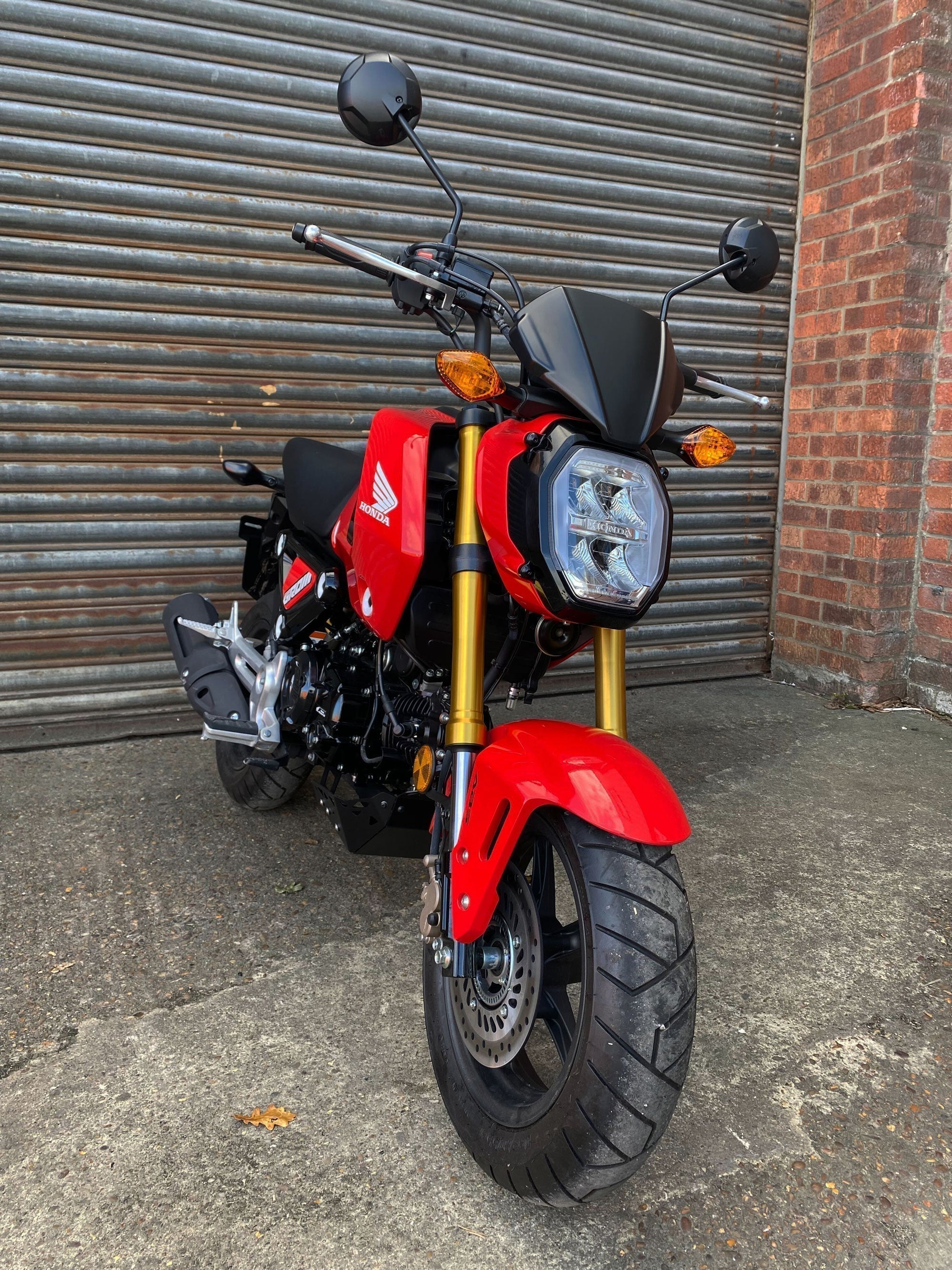 Pyramid Fly Screen | Carbon Look | Honda MSX 125 2021>Current - Shop name