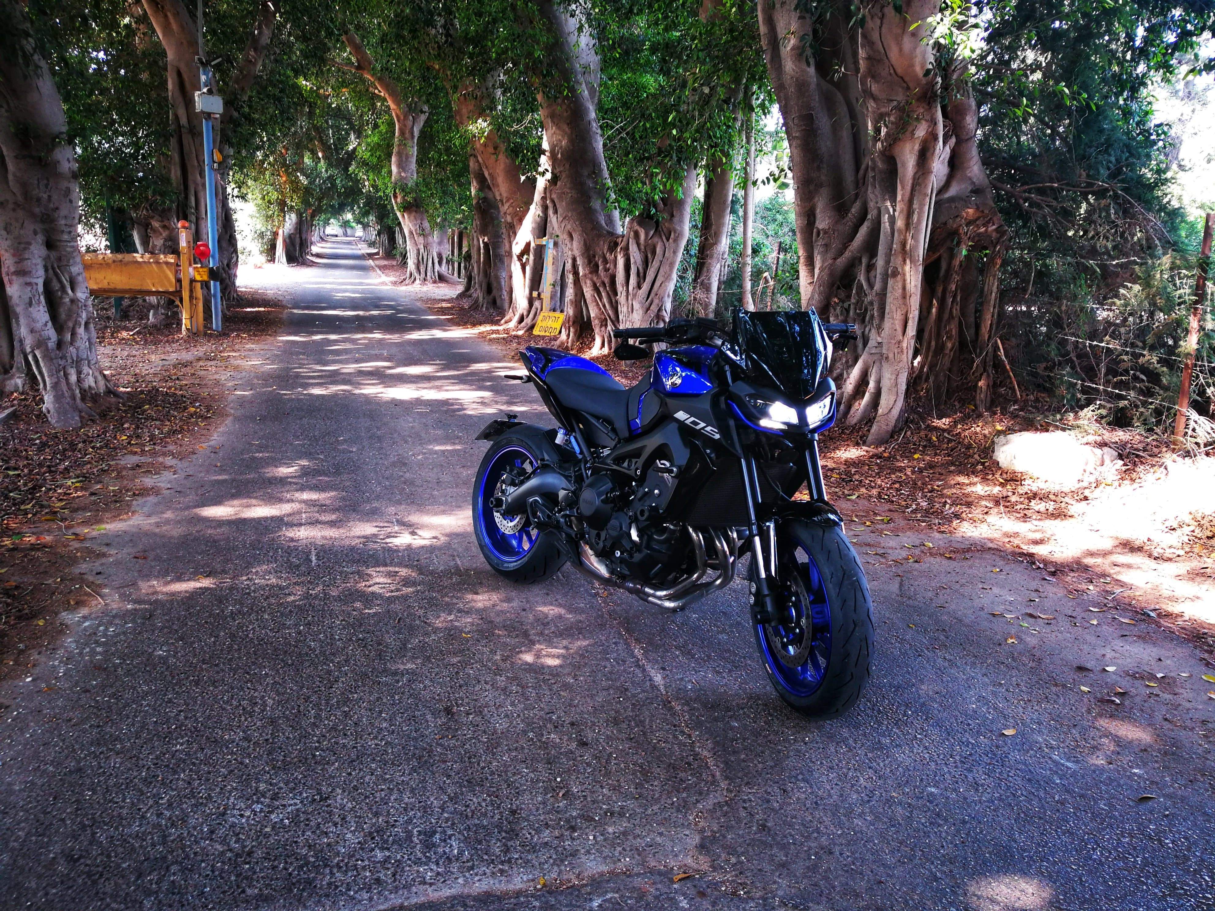 Pyramid Seat Cowl | Yamaha Blue | Yamaha MT-09 2017>2020 - Shop name