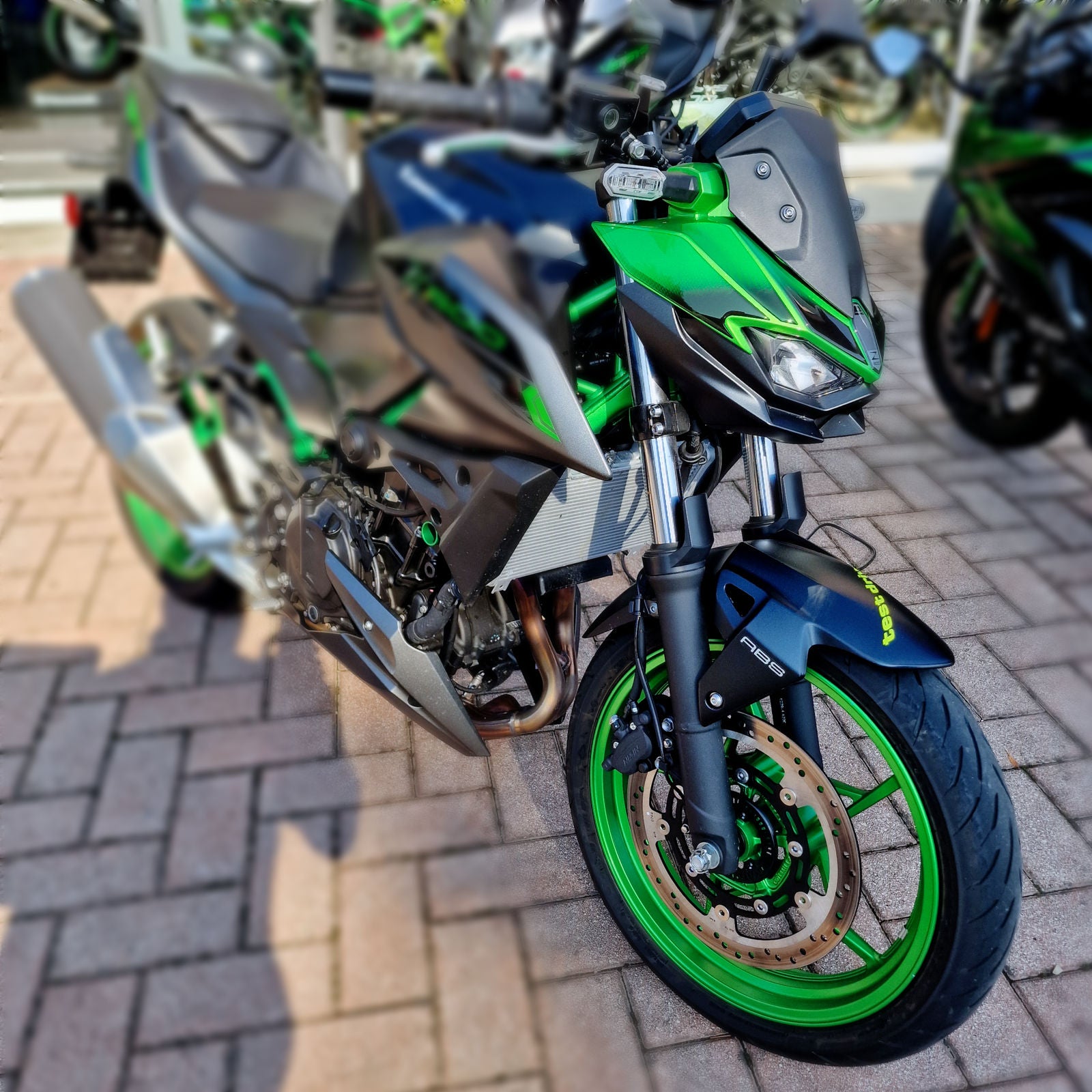 Resin Bike 3D Motorcycle Stickers - Front Fender | Kawasaki Z 500 2024>2026 -   Pyramid Motorcycle Accessories