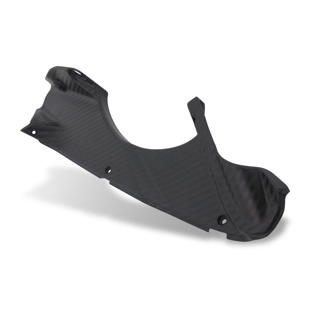 CNC Racing Air Intake Covers Carbon for MV Agusta Superveloce -  Shop name