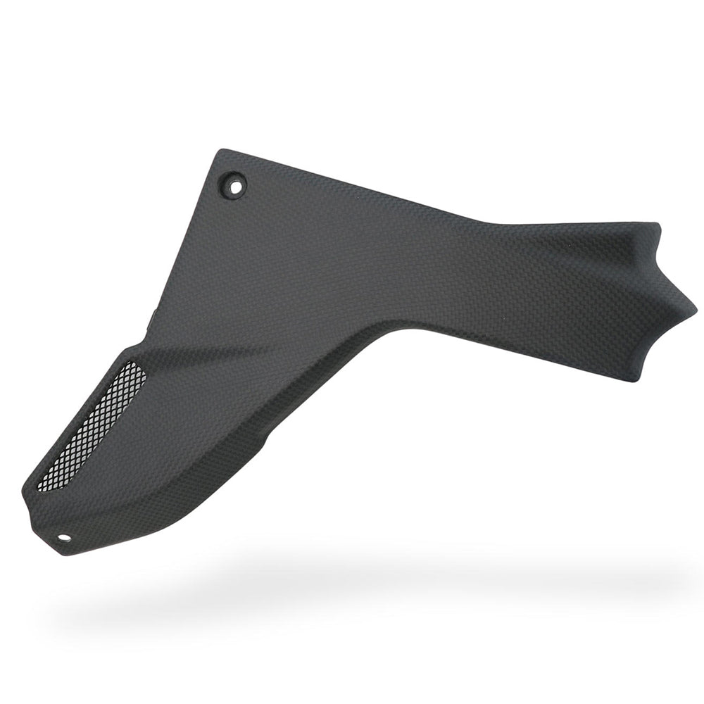 CNC Racing Engine Side Covers Carbon for Ducati Multistrada V4 -  Shop name