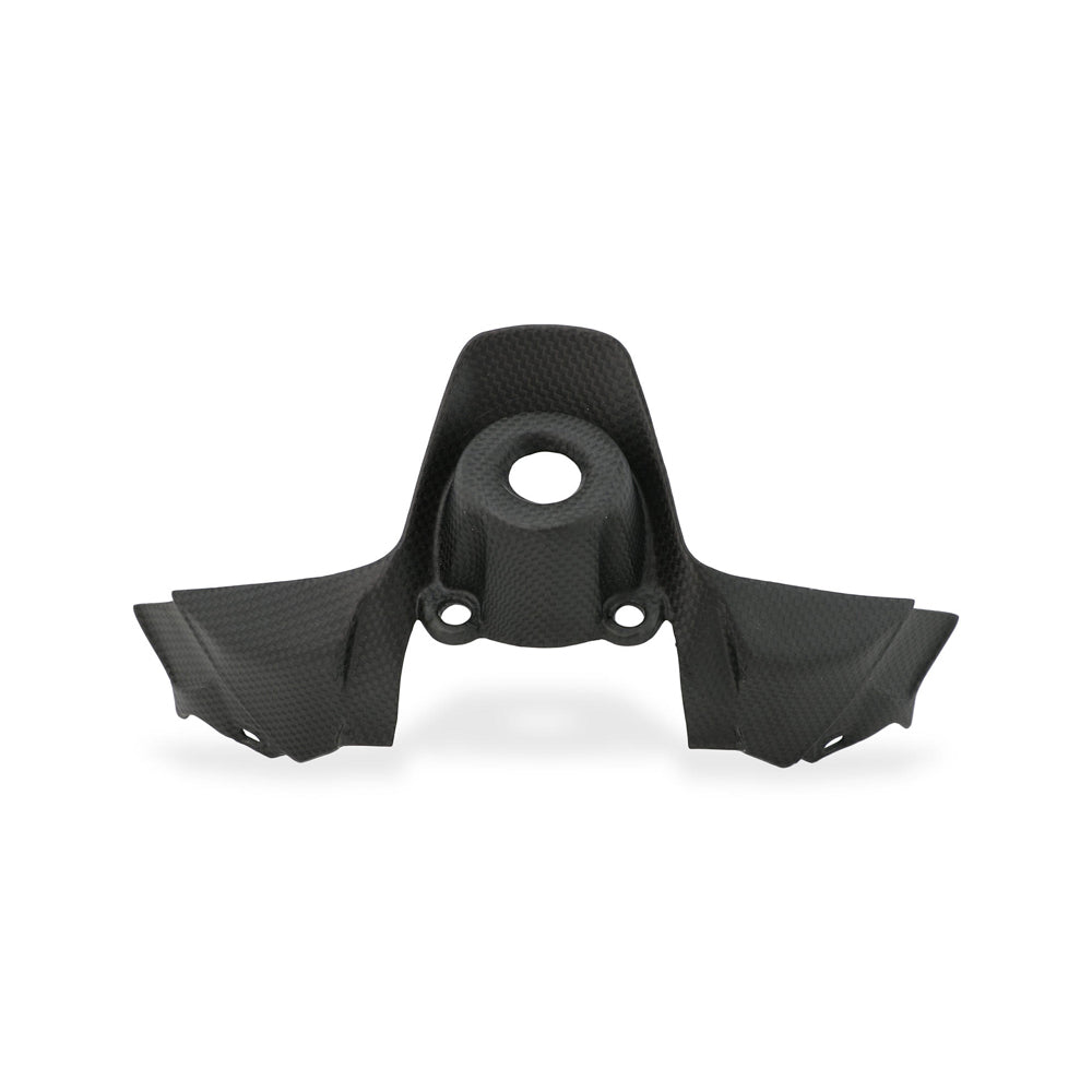 CNC Racing Ignition Switch Cover Carbon for Ducati Streetfighter V2 -  Shop name