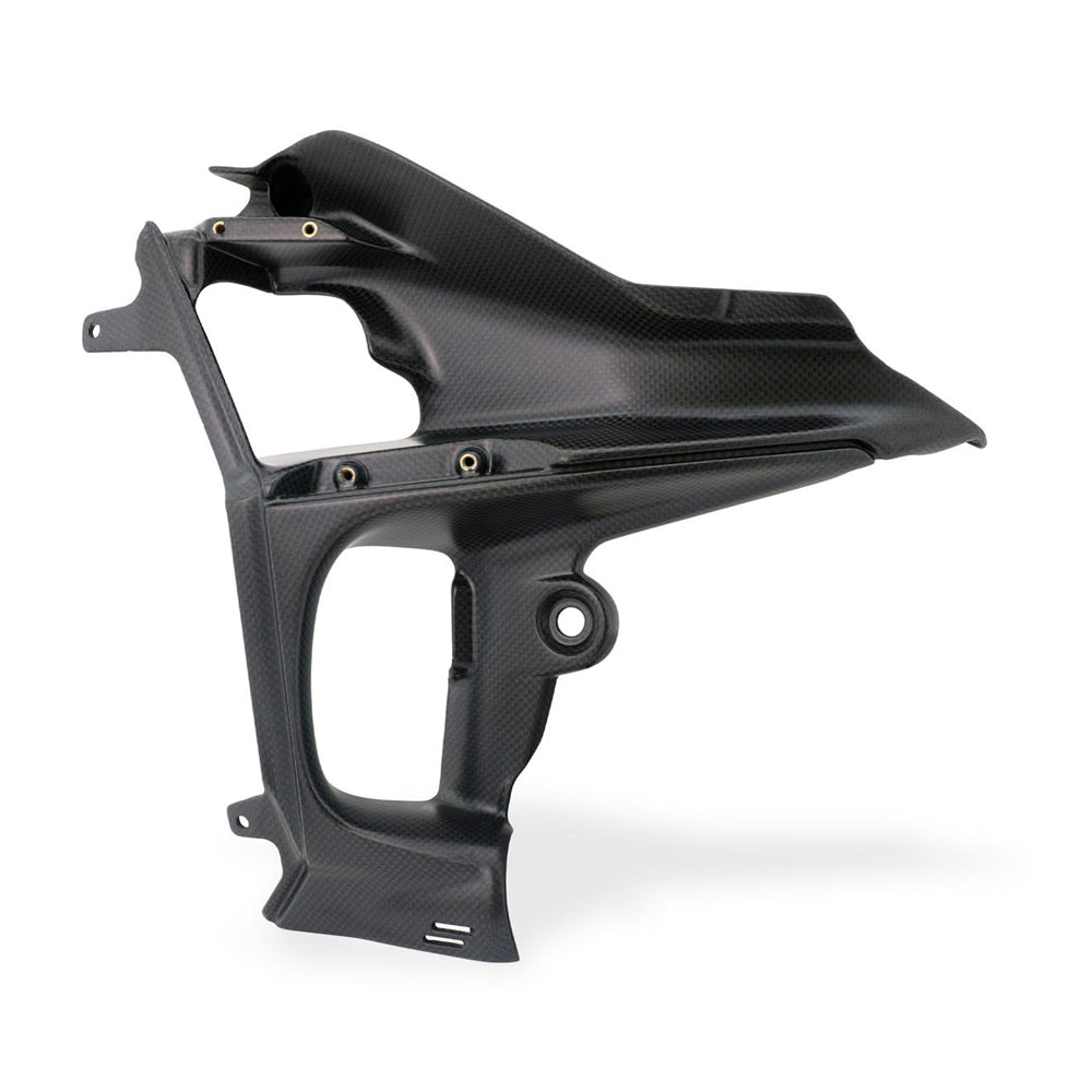 CNC Racing Kit Side Body Panels Air Extractor Carbon for Ducati Streetfighter V4 -  Shop name