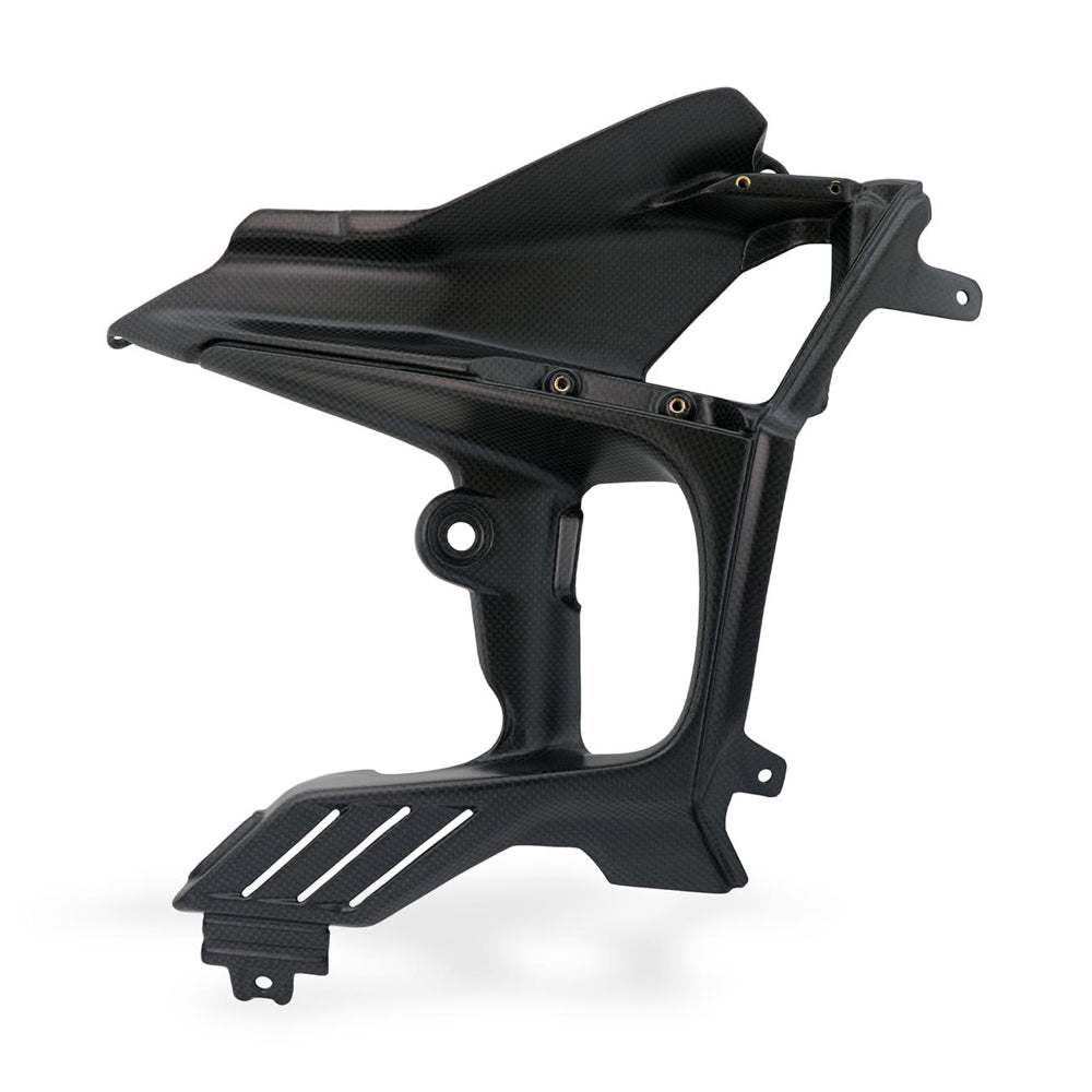 CNC Racing Kit Side Body Panels Air Extractor Carbon for Ducati Streetfighter V4 -  Shop name