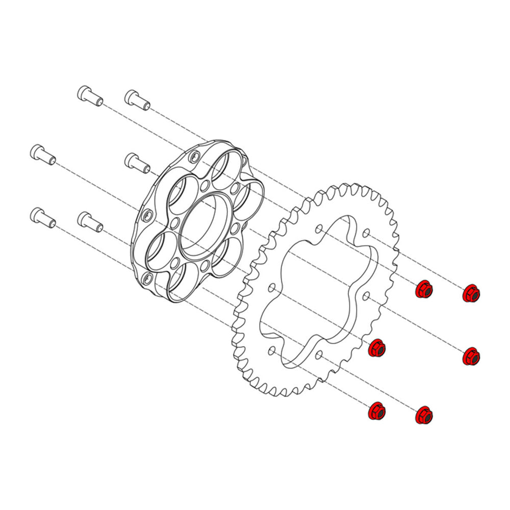 CNC Racing Nuts Ring Gear for Ducati M8x1.25 - Titanium -  Shop name
