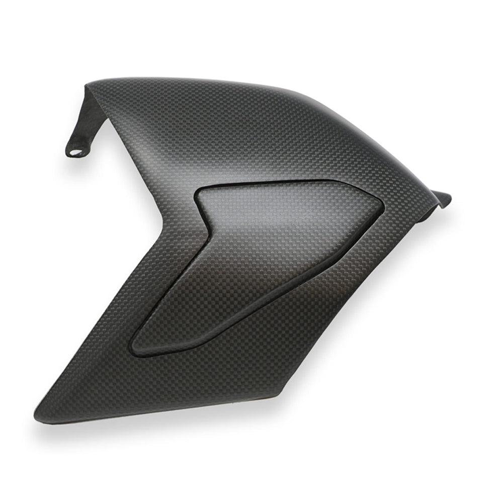 CNC Racing Swingarm Cover Carbon for Ducati Panigale V4 -  Shop name