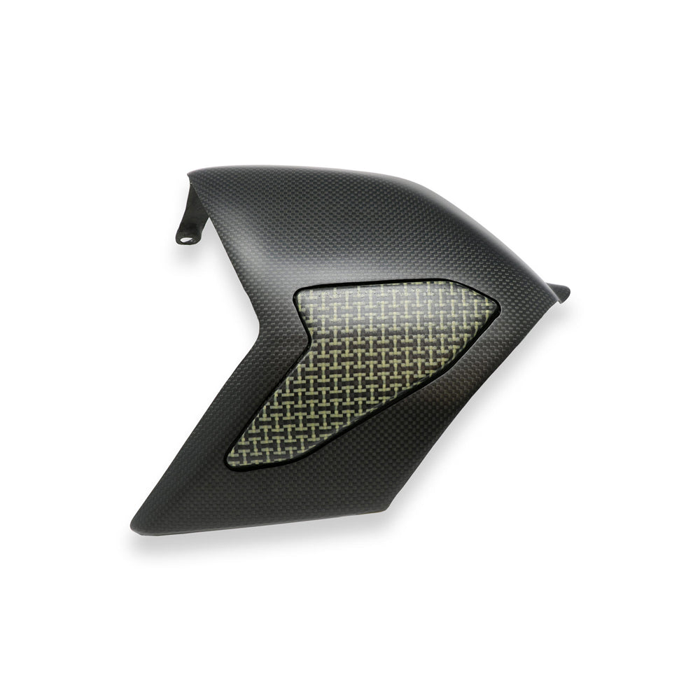 CNC Racing Swingarm Cover Carbon/Kevlar for Ducati Panigale V4 -  Shop name