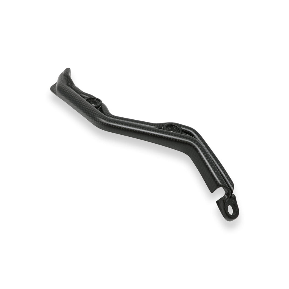 CNC Racing Swingarm Wire Cover Matt Carbon for Ducati Panigale -  Shop name