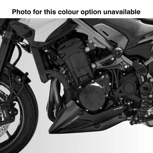 pan.panページ Ermax Belly Pan | Metallic Flat Spark Black [739] | Kawasaki Z 900 202
