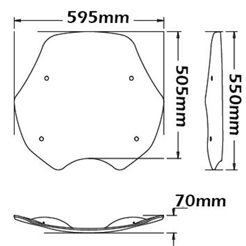 Isotta OEM Size Screen | BMW R 850-1100 R -   Pyramid Motorcycle Accessories