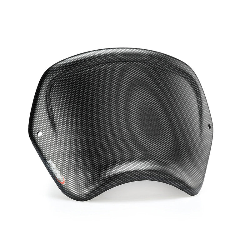 Puig Front Plate | Carbon Look | BMW R nineT 2014>2024