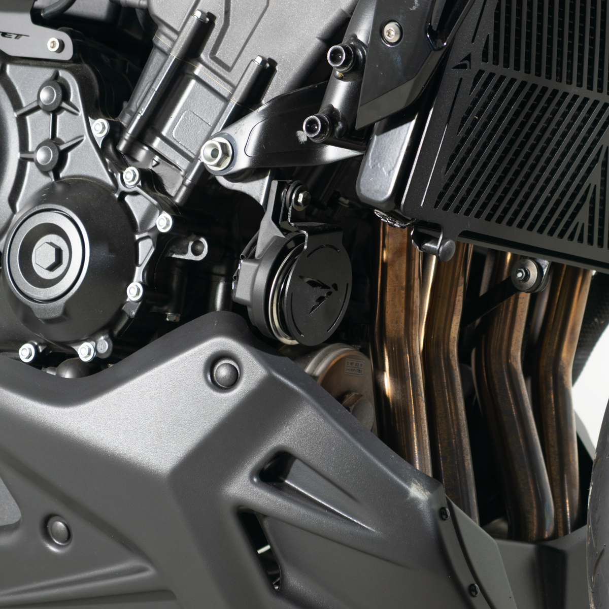 Belly Pan - Rear View