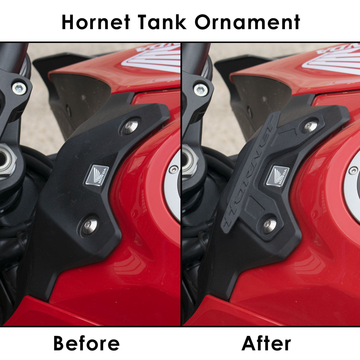 Belly Pan - Rear View