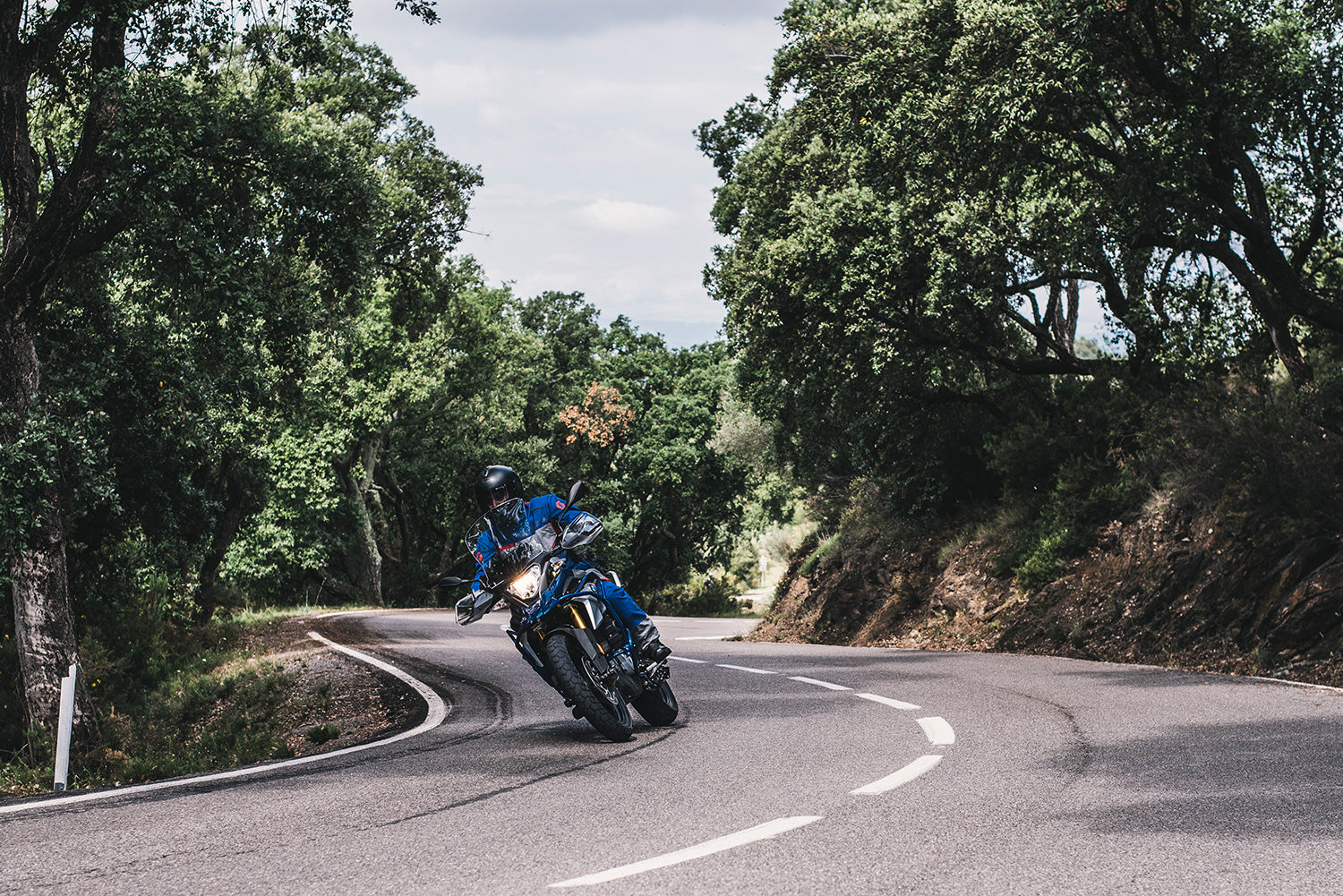 Wunderlich Protection Pad Rear | Black | BMW G 310 R -   Pyramid Motorcycle Accessories