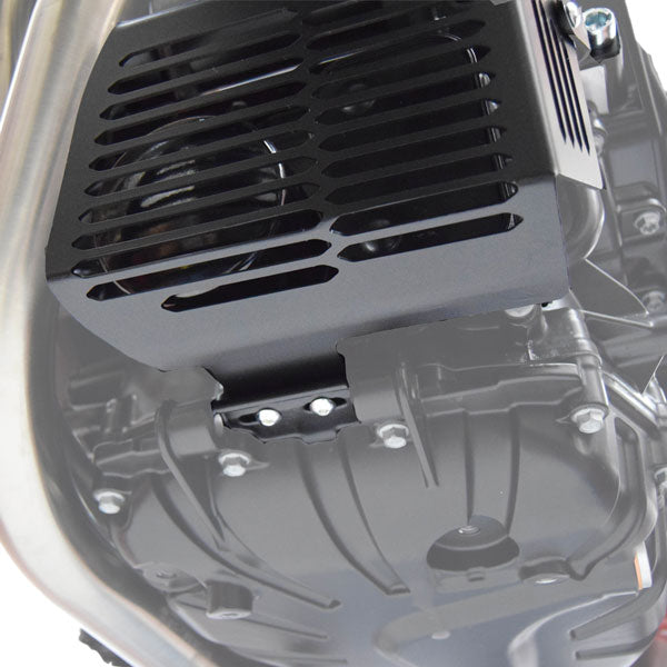 Isotta Radiator and Oil Filter Guard Kit | Black | BMW F 700 GS 2012>2018 -   Pyramid Motorcycle Accessories
