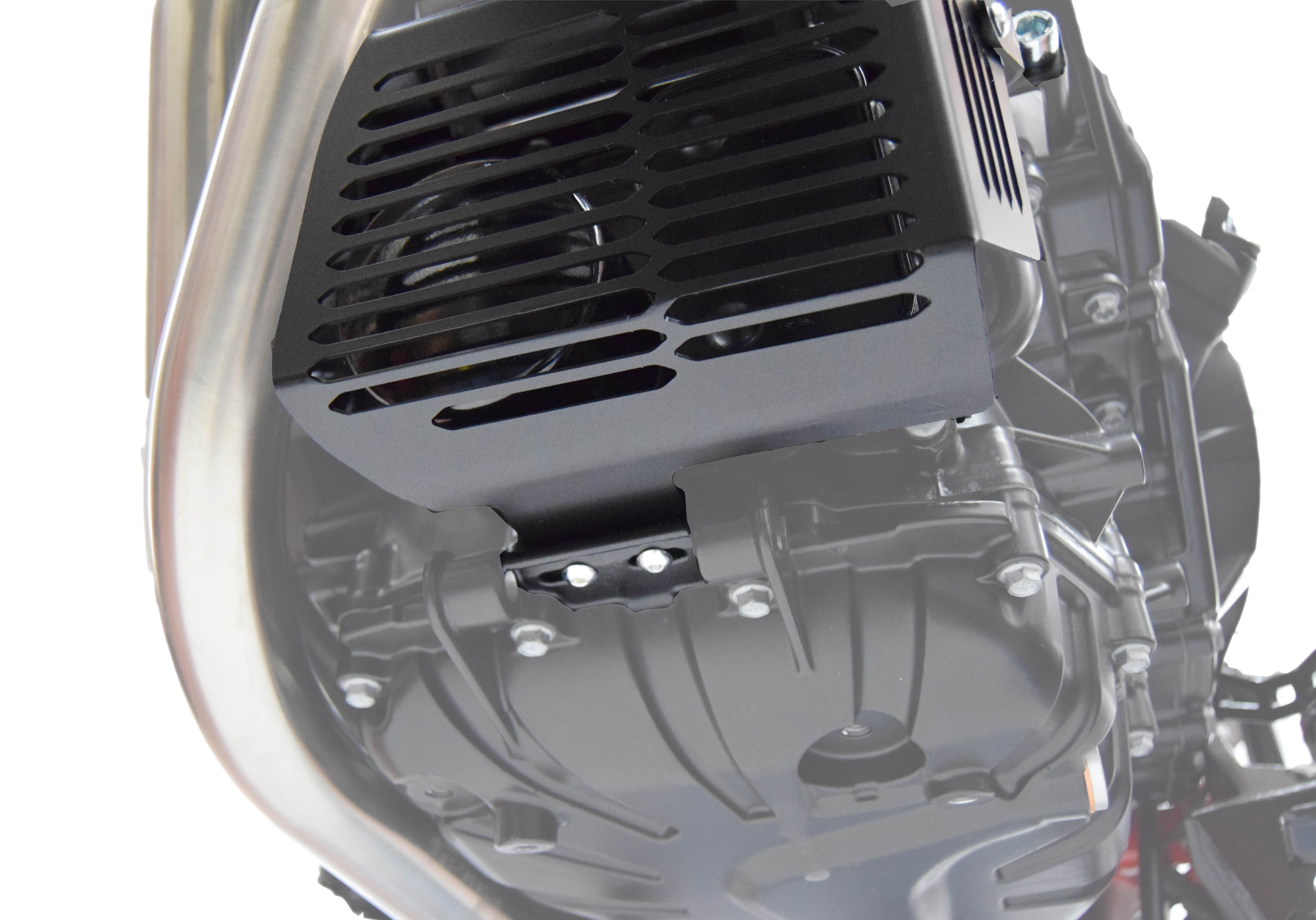 Isotta Oil Filter Guard | Black | BMW F 700 GS 2012>2018 -   Pyramid Motorcycle Accessories