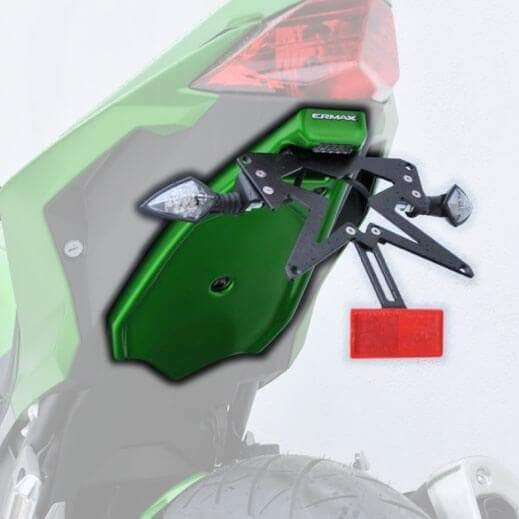 Ermax Undertray | Matte Green (Candy Matte Blazed) | Kawasaki Z 300 2015>2016 -  Shop name