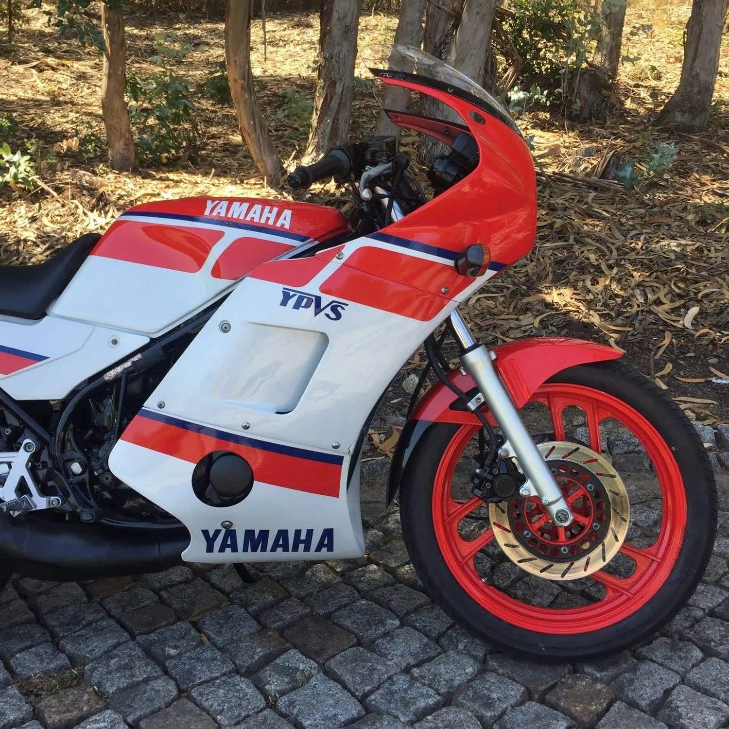 Pyramid Belly Pan | Gloss Black | Yamaha RD350 YPVS F1/F2 1983>1990 -  Shop name